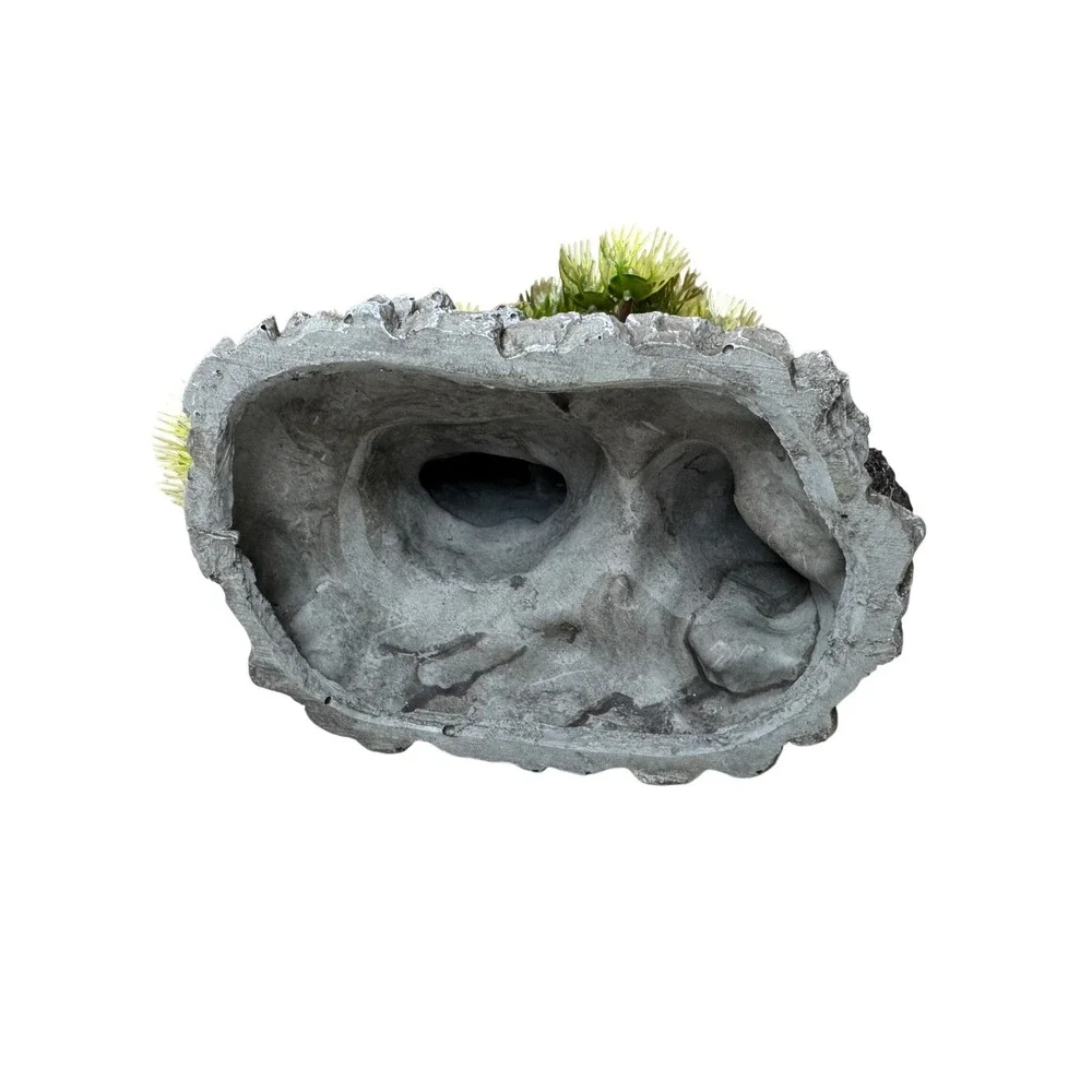 Buddha Statue with Bonsai Tree Aquarium Ornament Resin Zen Decor 8 Inch